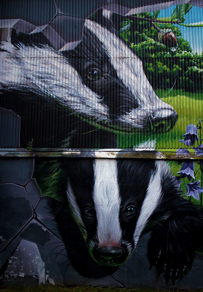 badgers glasgow street art Duncan on and off Flickr