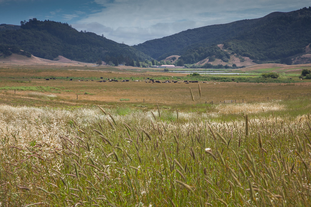 Pasture View from Barns Red Hill Farm in the Hicks Valley … Flickr