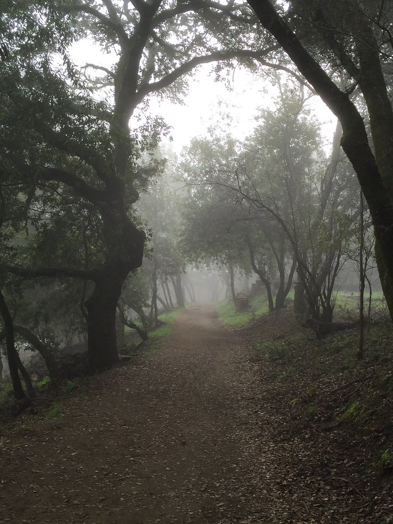 Woodside, CA cariberry Flickr