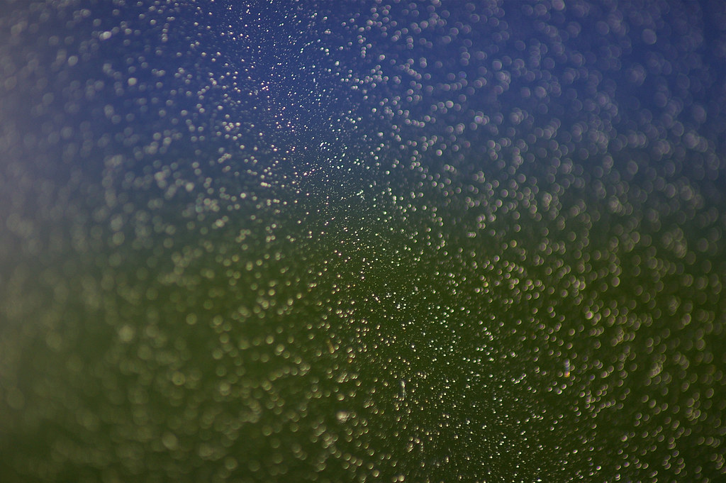 Pollen Pollen on our car's window with the reflection of t… Flickr