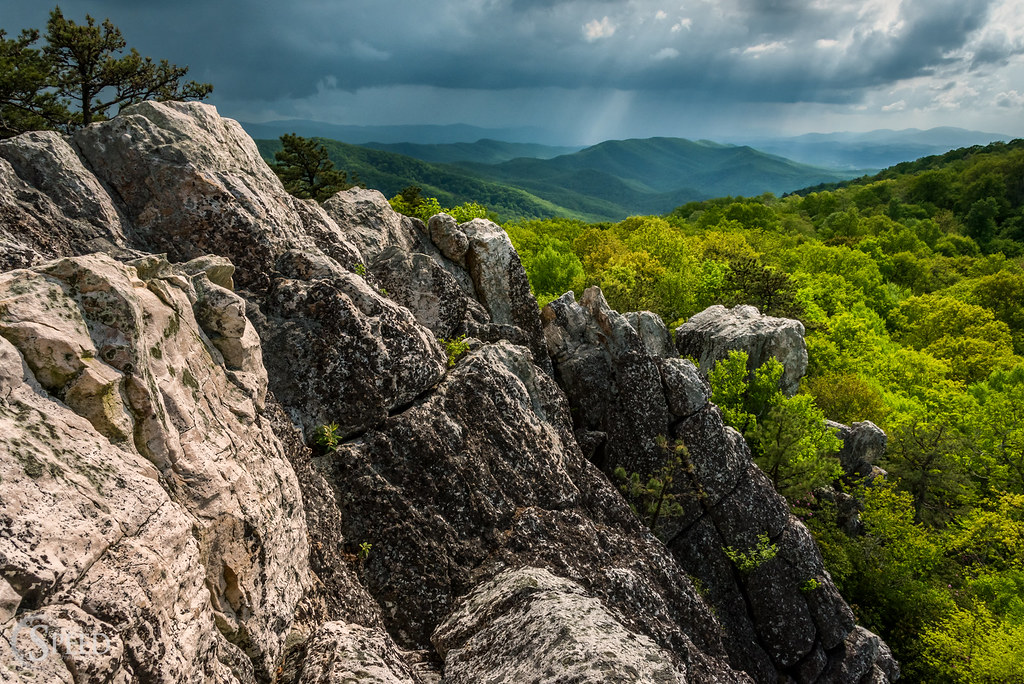 Elevation of Crockett Rd, Crockett, VA, USA Topographic Map