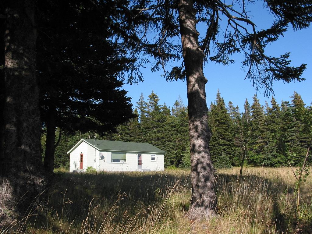 Elevation of Stephenville, NL, Canada Topographic Map Altitude Map