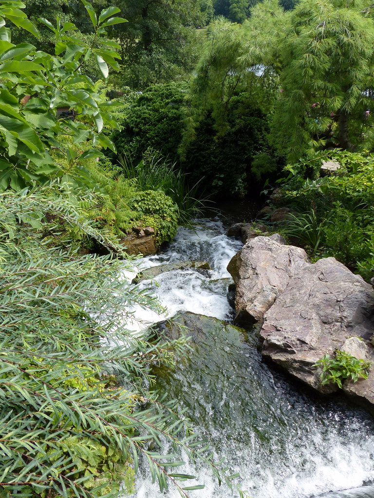 Chicago Botanic Garden 52, 872016 Erica Sebeok Flickr