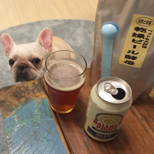 買ったの忘れてた〜 ️明日から夜は一緒にビール😁 ペットも大好物乾燥ビール酵母みちのくファーム frenc