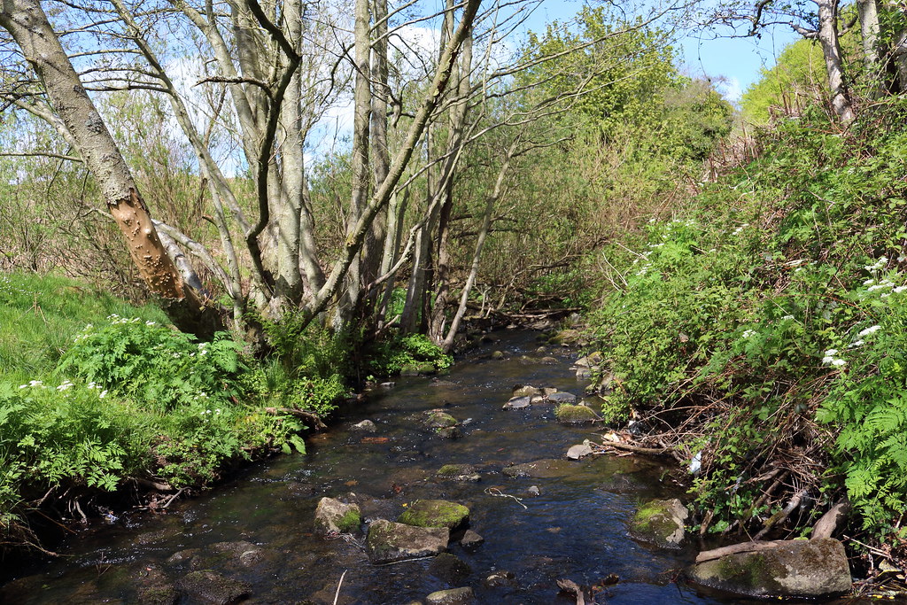 Bucks Burn,Howes Road,Bucksburn,Aberdeen Alan Longmuir. Flickr