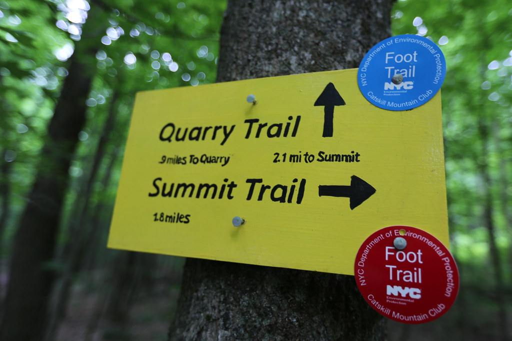 IMG_9980 The Bramley Mountain Trail offers two paths to th… Flickr