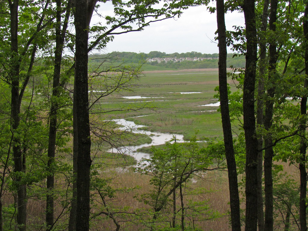 Cheesequake State Park Matawan, NJ quiggyt4 Flickr