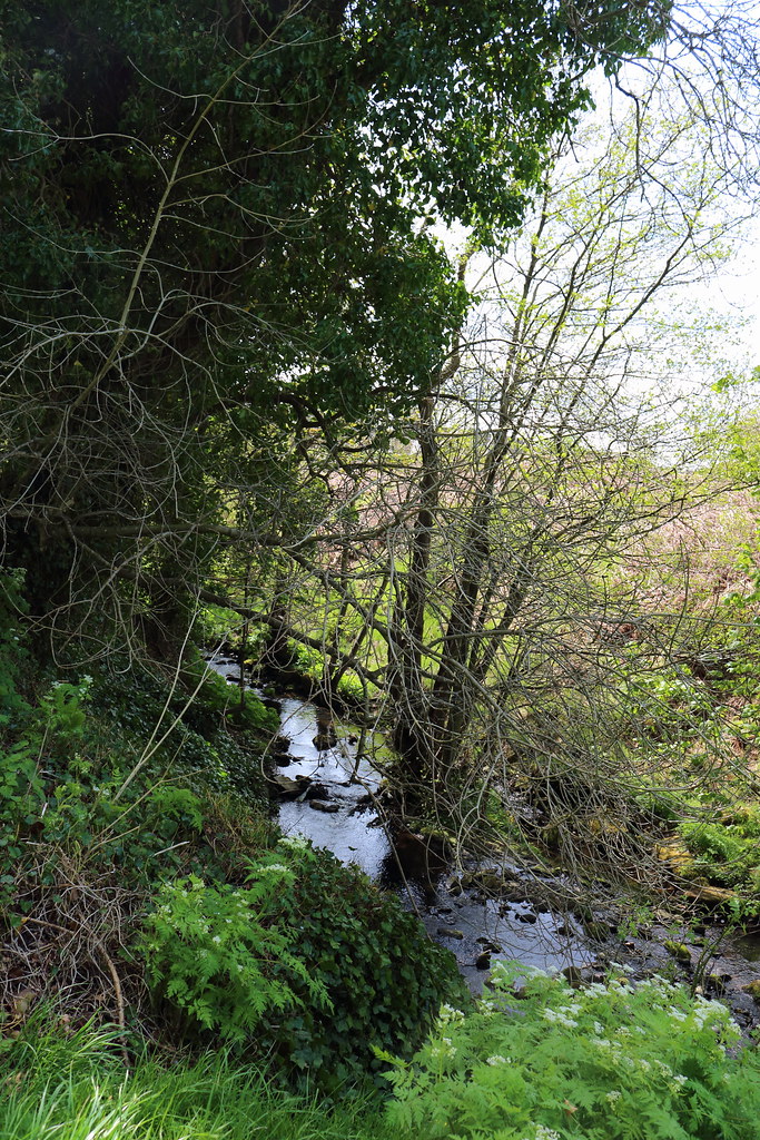 Bucks Burn,Howes Road,Bucksburn,Aberdeen Alan Longmuir. Flickr