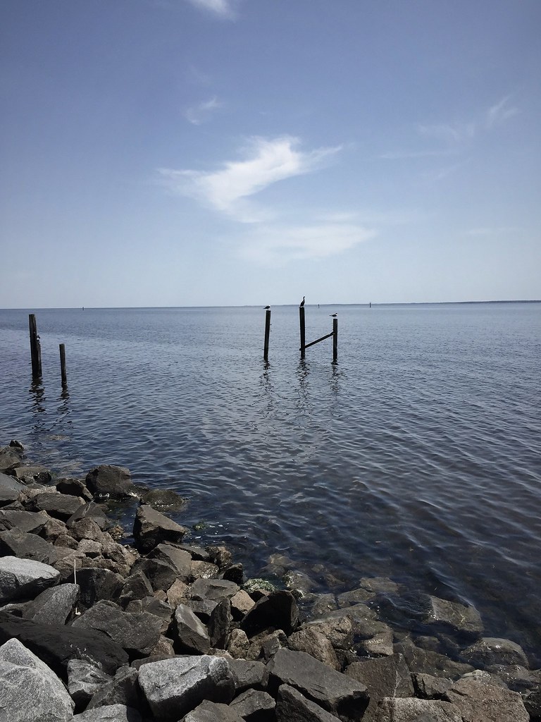 Oriental Waterfront Oriental, NC Cedars Flickr