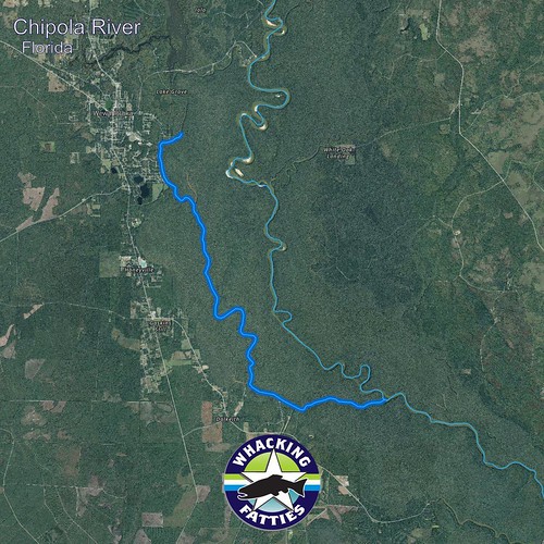 Chipola River, Florida Chipola River, Florida Fly Fishing … Flickr