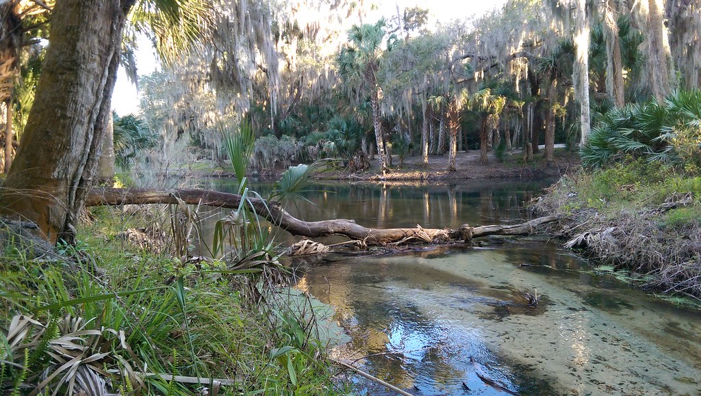 Gemini Springs State Park SpringToSpring Trail, DeBary, … Flickr