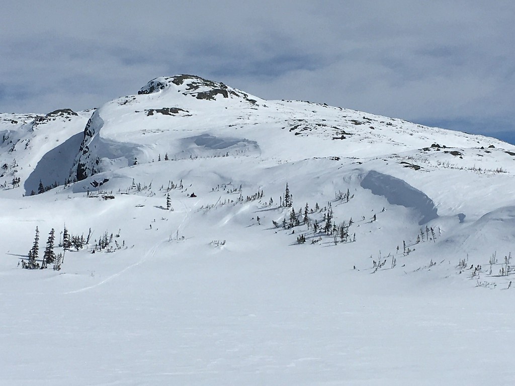 Little Island Pond, Gros Morne National Park David Gillam Flickr