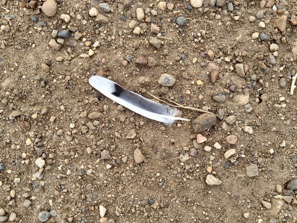 cemetery, Plentywood MT jean andreasen Flickr