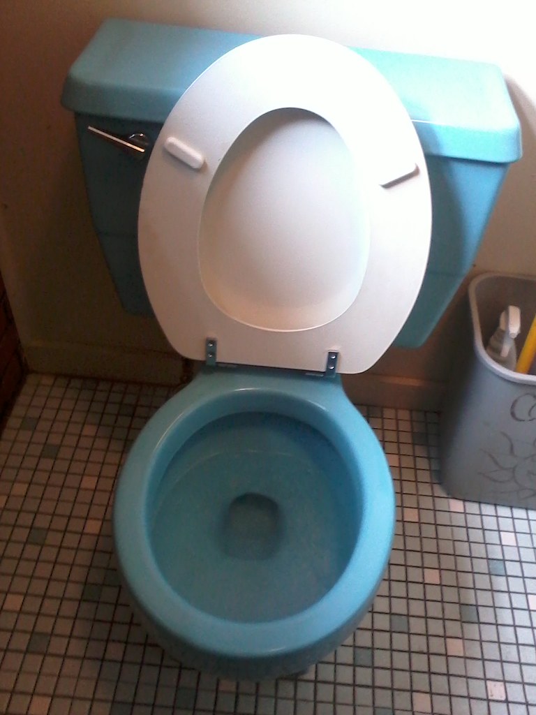 Blue Kohler Wellworth Toilet Blue toilet with a matching s… Flickr