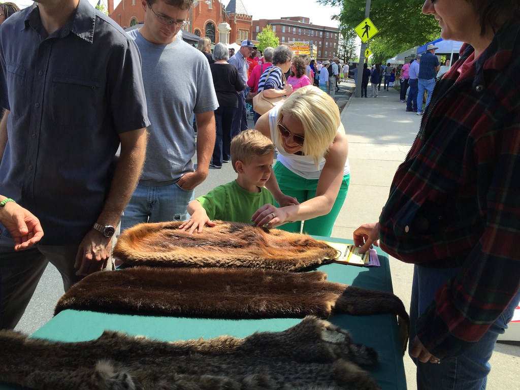 Heart of Virginia Festival HOV Festival Farmville 2015 tak… Flickr