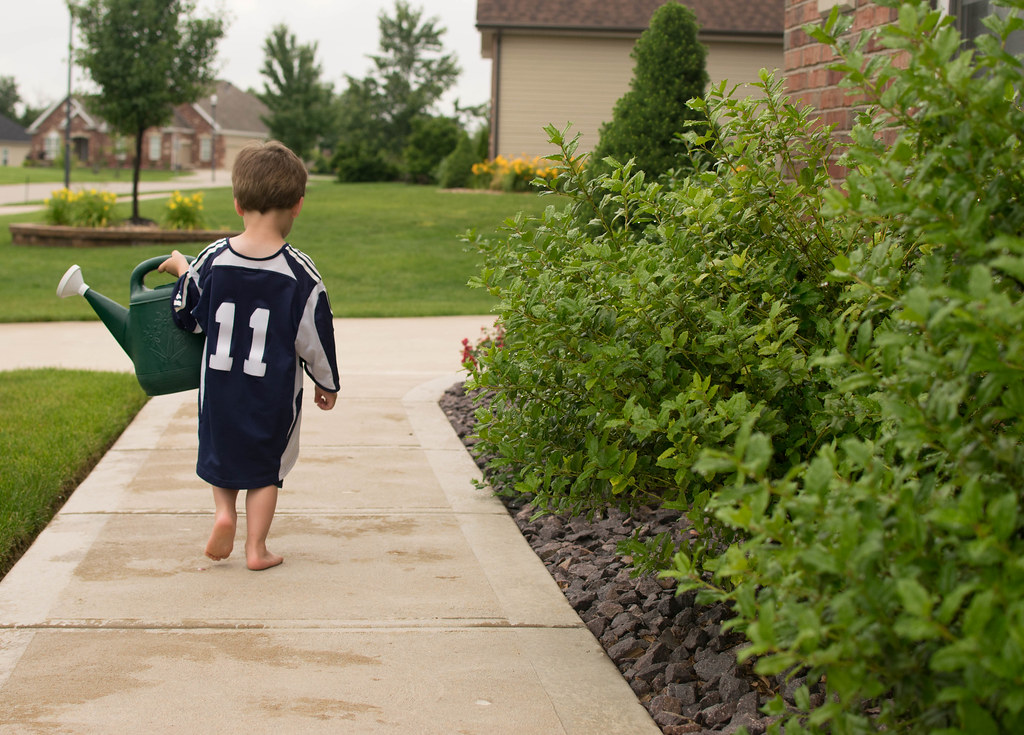 Gardner Number 11 GDY2000 Flickr