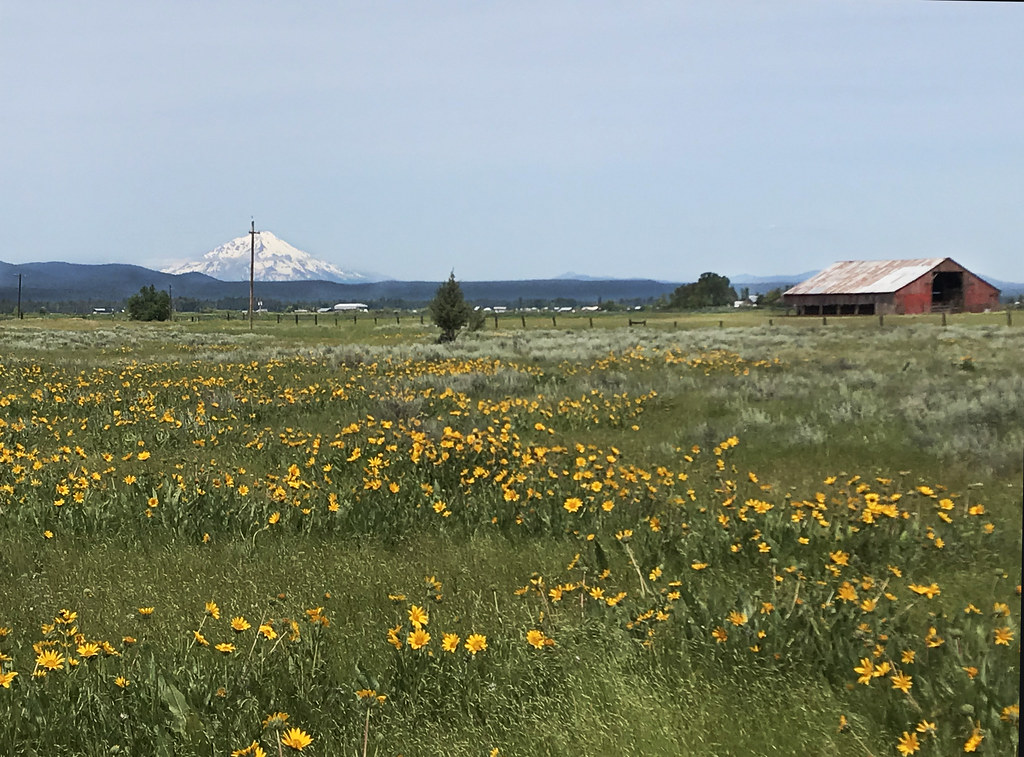 Far from Somewhere Near Fall River Mills, CA Skip Moore Flickr