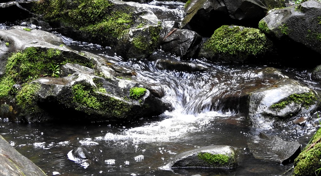 Running water Erskine falls near Lorne.. The Erskine falls… Flickr