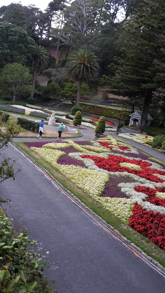 20160308_074533 The gardens beside Buchanan Way, looking t… Flickr