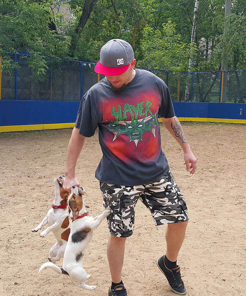 Special carrier for Jack Russels "Use the stick, Luke!" … Flickr