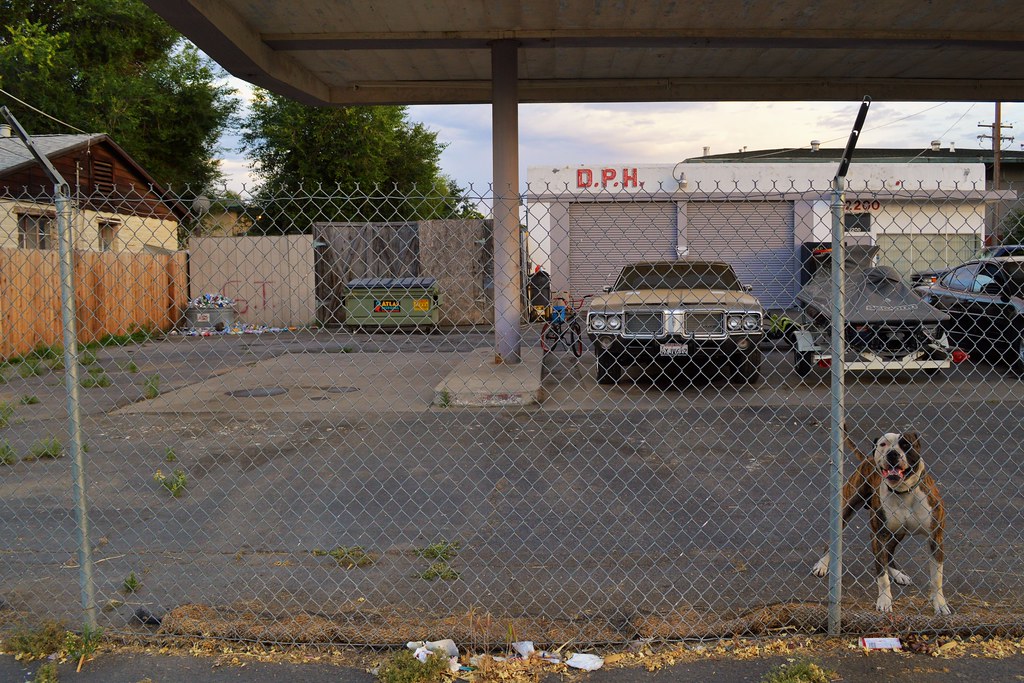 A Friendly D.P.H. Del Paso Heights Sacramento, Cal… Flickr