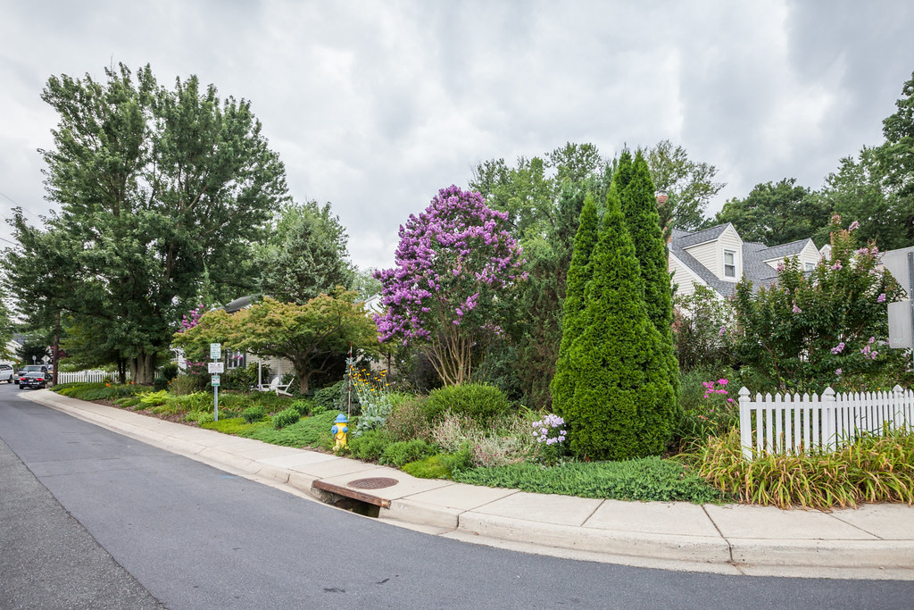 042_317_Grandin_Avenue_98276_136694 Bill Loewy Flickr