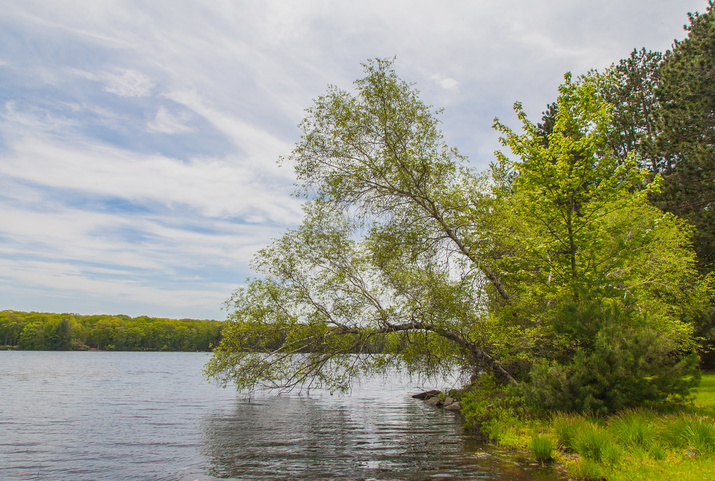 Hanging Out On Wolf Lake *Explore* On a spring day in Wolf… Flickr