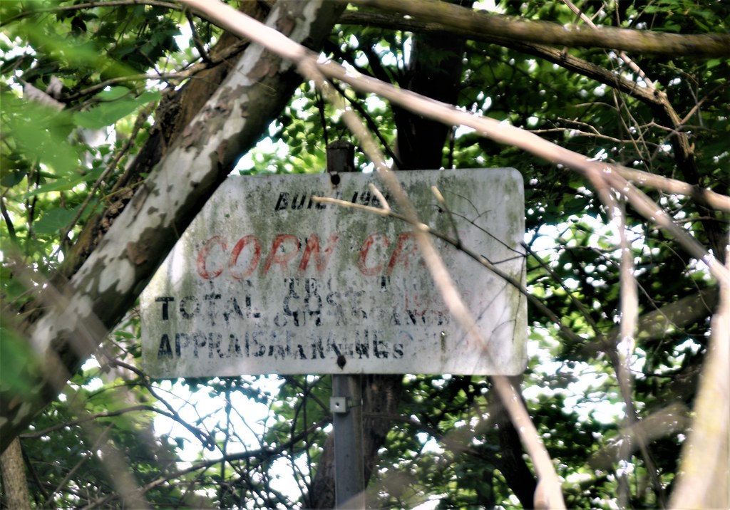 Griggs reservoir A little visit to the Griggs reservoir an… Flickr