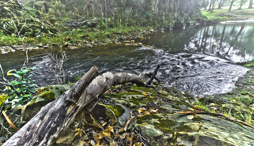 Buckland river Bright geoffnikon Flickr
