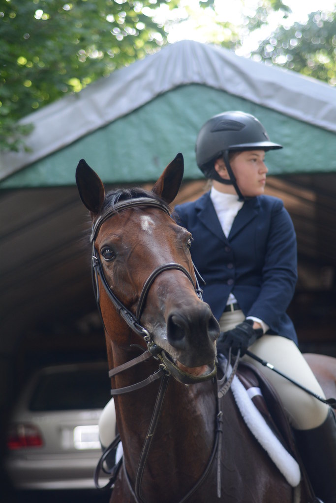 DSC_0037 Dapper Dan Farm Horse Show Rhode Island 0717201… Appy
