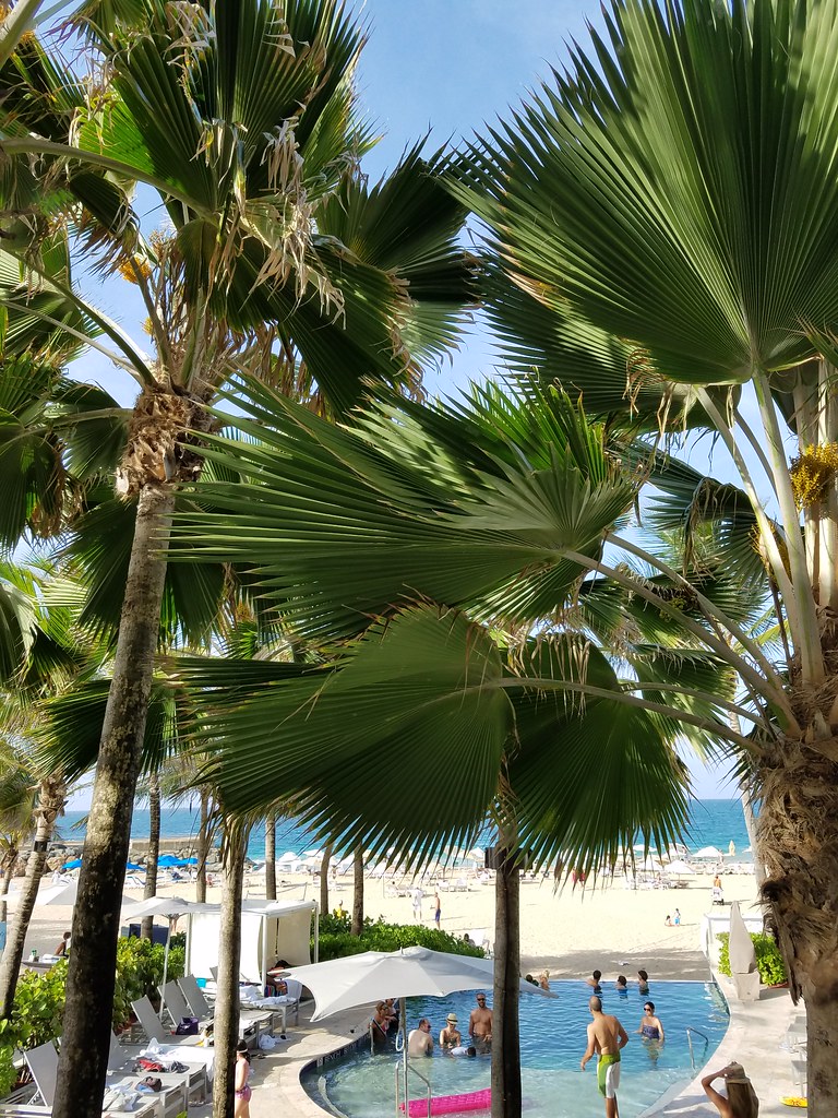 La Concha Hotel Kim Flickr