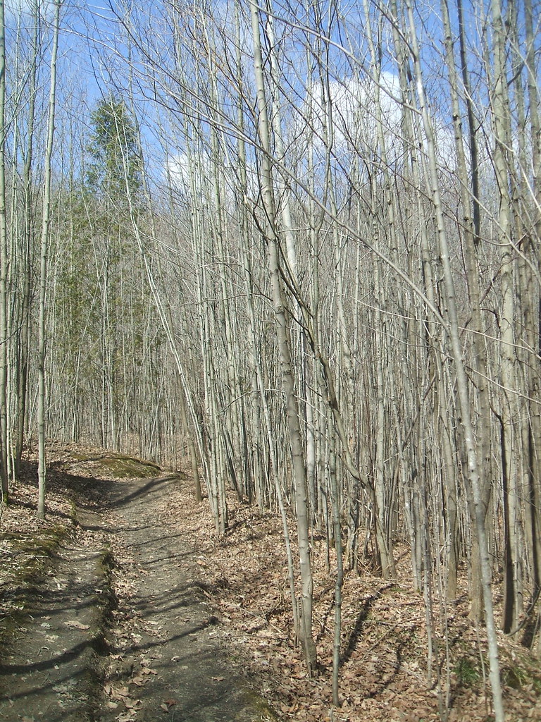 Hockley Valley Provincial Nature Reserve 1 The trail start… Flickr