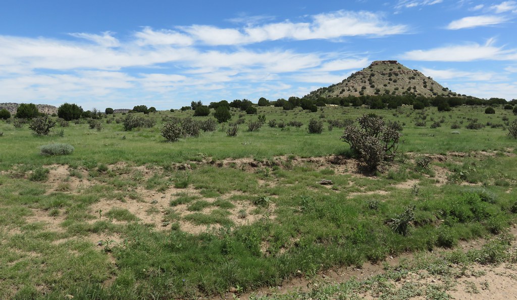 Southeastern Colorado Landscape (Baca County, Colorado; Un… Flickr