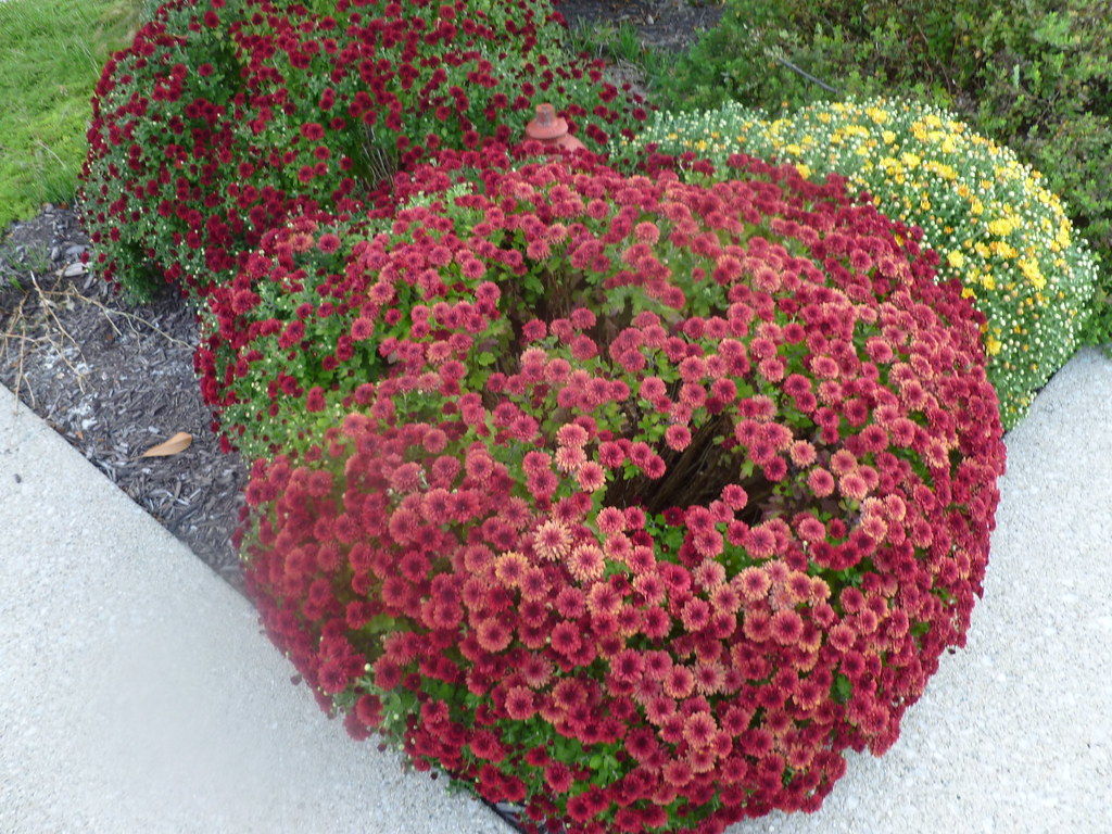 Sylvania Sylvania Winchester Ky Flickr