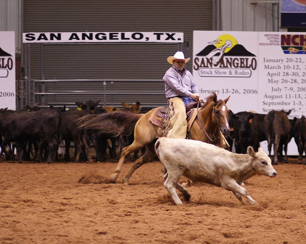 Cutting horse seperating cow from the herd 101ABN Flickr