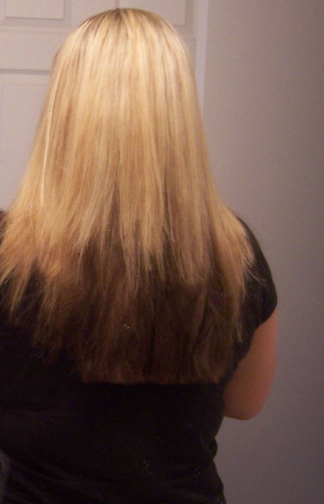 New hair. Went light on top, dark on bottom and more layer… Flickr