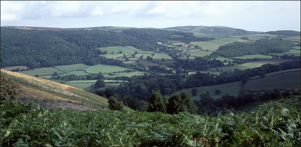 Holnicote Estate From Crawter Hill, Exmoor, Somerset, Engl… Flickr