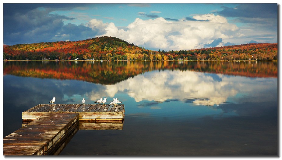 DSC_6874small Pine Lake, Gilford(HWY118),Central Ontario, … red