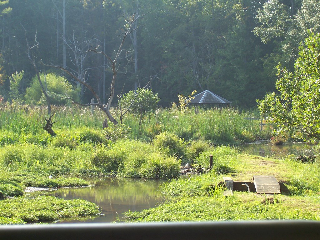 Lovejoy GA bird sanctuary , at the wetlands in the clayton… Flickr