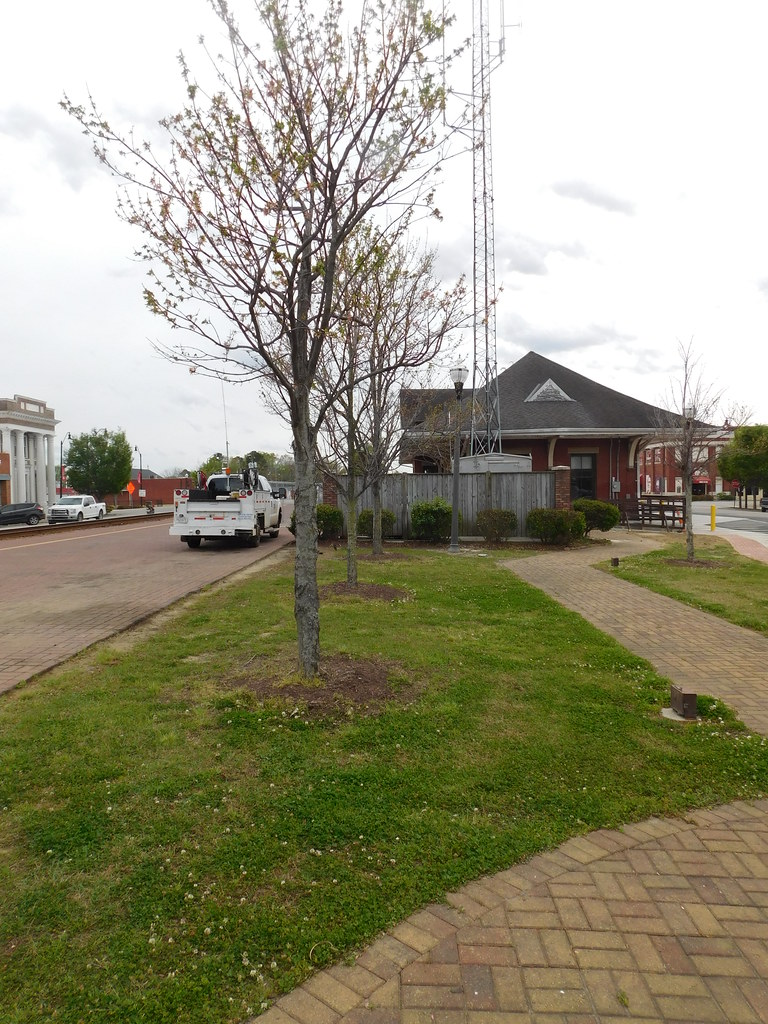 Dillon Station Dillon, South Carolina Adam Moss Flickr