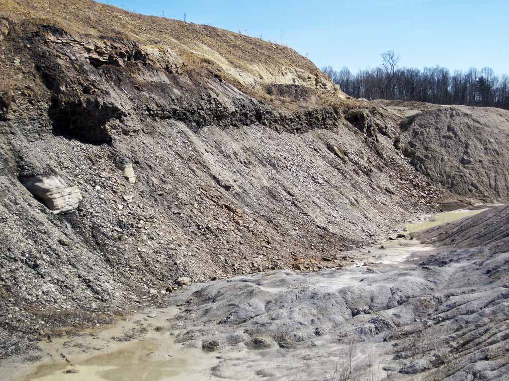 Frazeysburg Pit (Bowerston Shale Company, Muskingum County, Ohio, USA