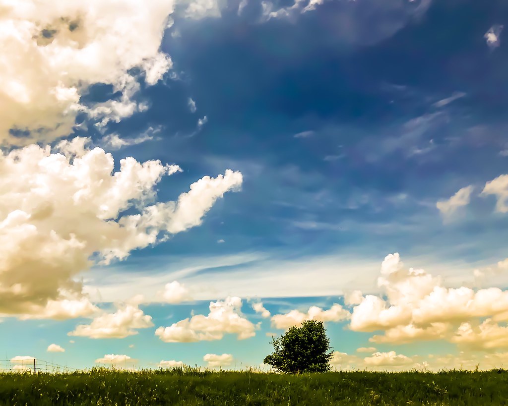 I can see clearly now the rain is gone. I can see all obst… Flickr