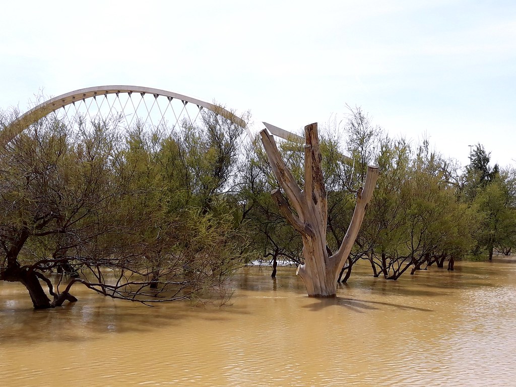 Ebro River flood 15th April 2018 Rosita Azafranera Flickr