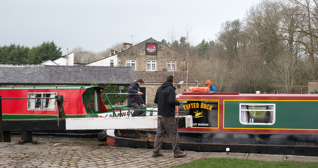 Tufted Duck and Caraway at the Anchor Inn, Gargrave Flickr