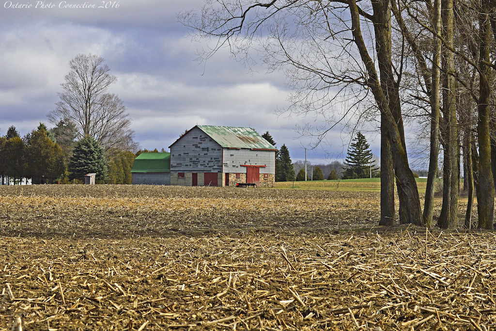 3807 Vanessa Ontario Norfolk county 2016 ontario photo connection