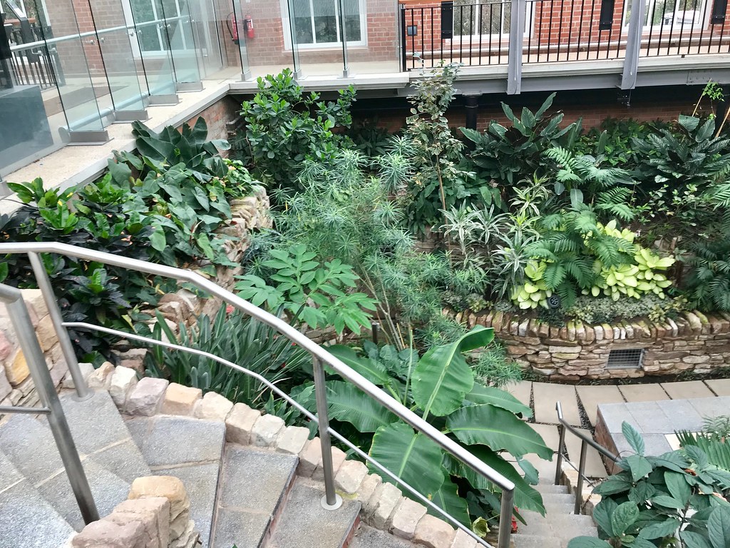 Tropical Ravine, Belfast Botanic Gardens John McDonald Flickr