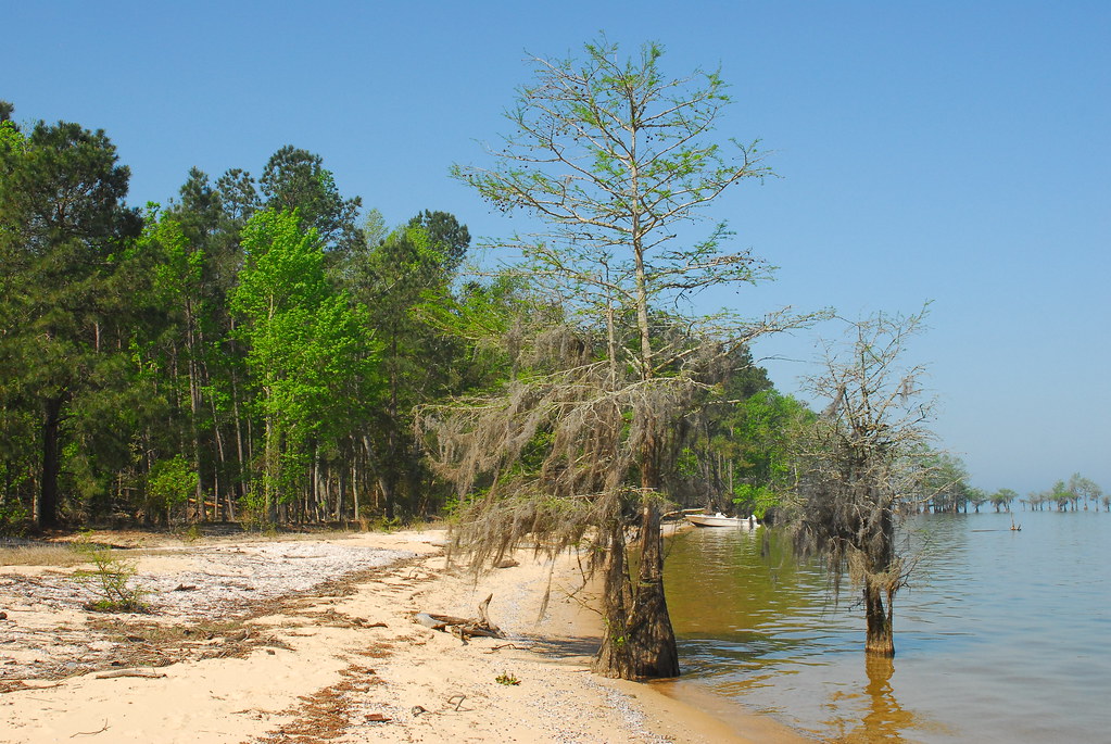 Lake Marion, Eutawville, South Carolina Waynespix Flickr