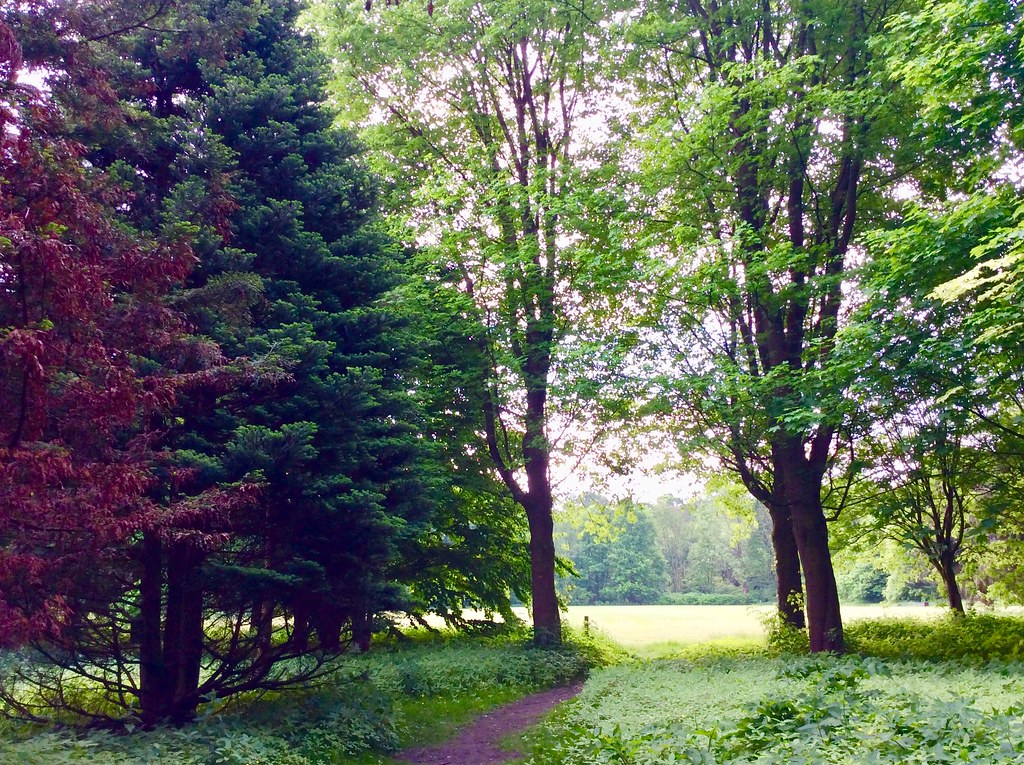 Harwood Bolton Lancashire Haltonstreet64 Flickr