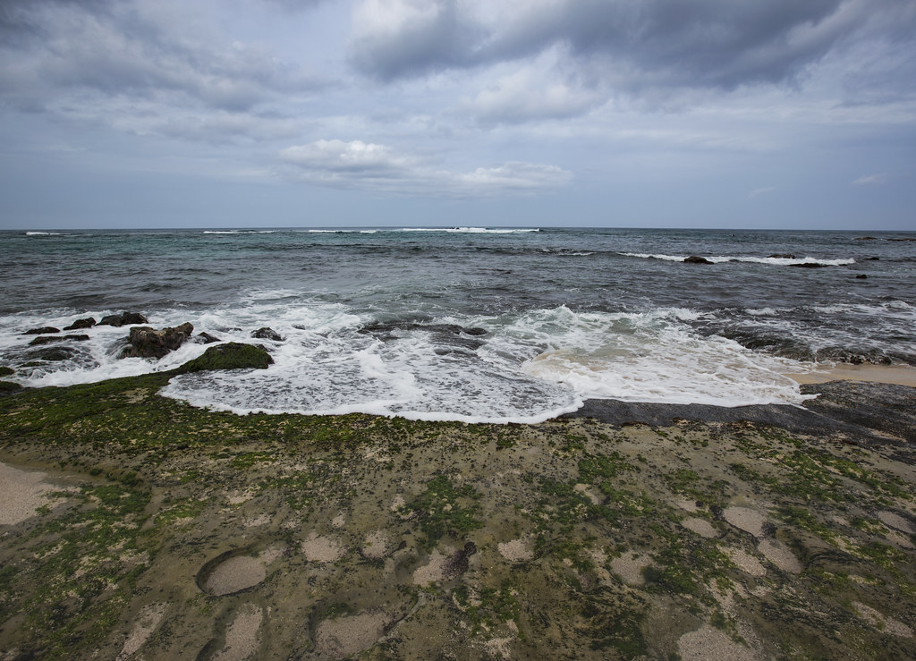 Turtle Beach Laniakea Beach or Turtle Beach on the North