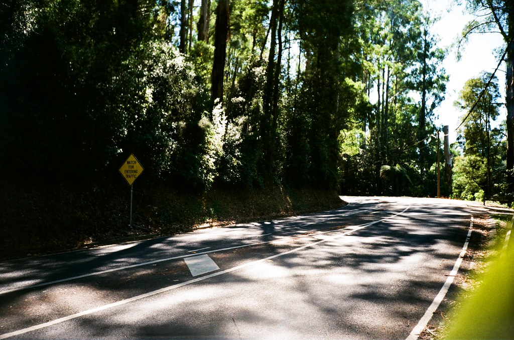 Mount Dandenong Tourist Road Photographed using the Kodak … Flickr